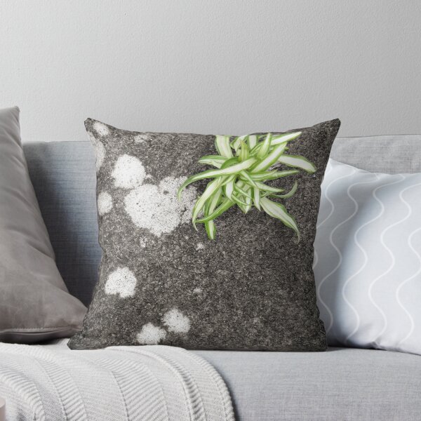 Item preview, Chlorophytum designed and sold by Duncan Waldron.
