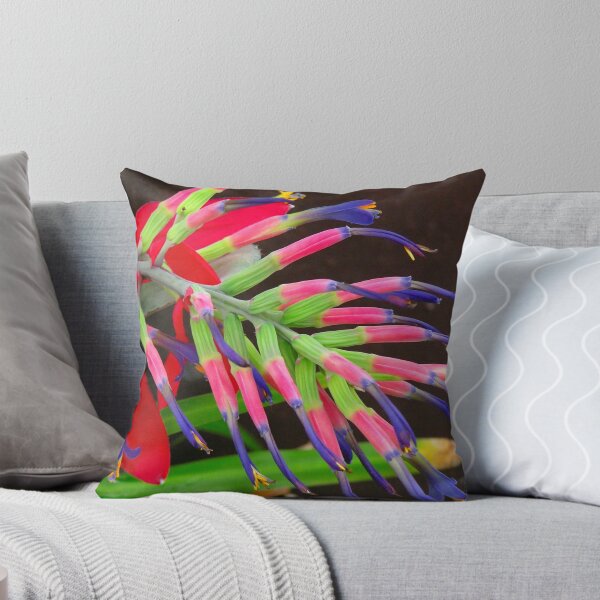 Item preview, Late Bloomer designed and sold by Devalyn Marshall.