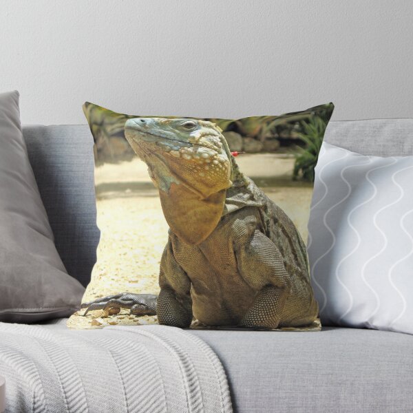 Blues Throw Pillow