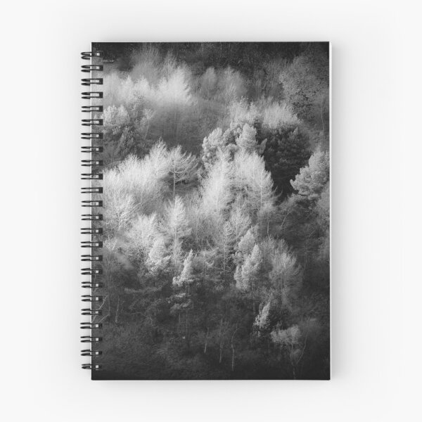 Aperçu de l'œuvre arbres créée et vendue par Dorit Fuhg.