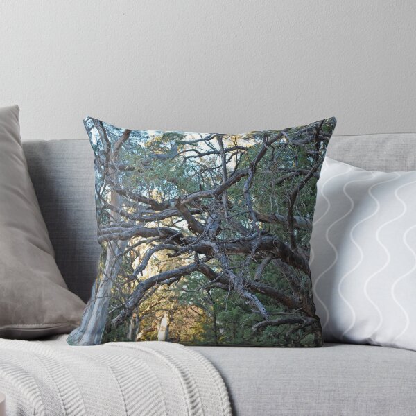 Item preview, Wilpena Tree 3 designed and sold by GuyR.