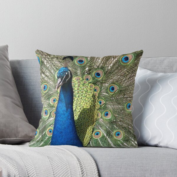 Item preview, Obligatory Cliched Peacock Shot designed and sold by SeeingTime.