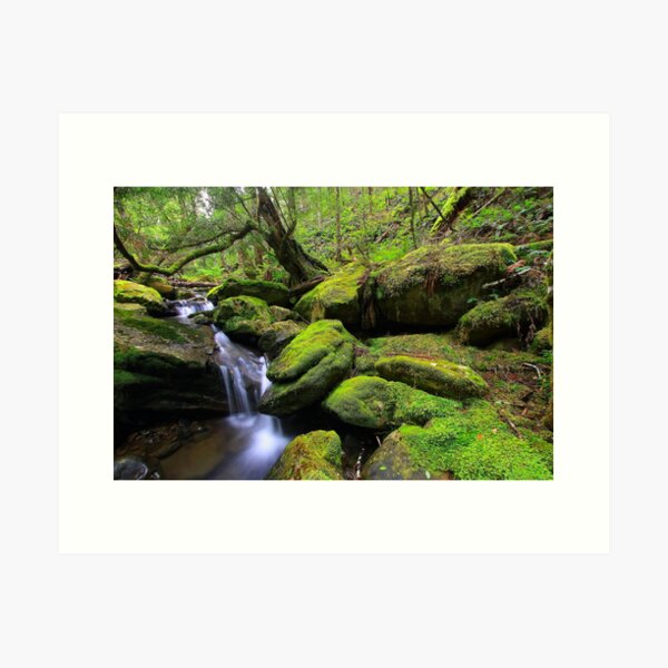Item preview, "Mossy Creek" designed and sold by Huskyyy Designs.