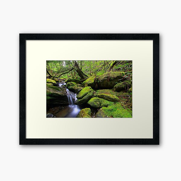 Item preview, "Mossy Creek" designed and sold by Huskyyy Designs.