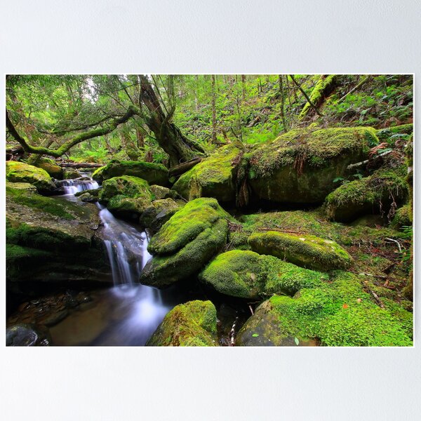 Item preview, "Mossy Creek" designed and sold by Huskyyy Designs.