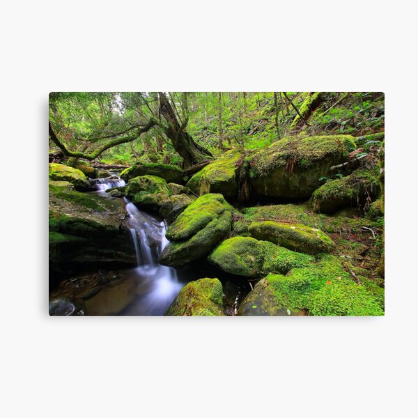 Item preview, "Mossy Creek" designed and sold by Huskyyy Designs.