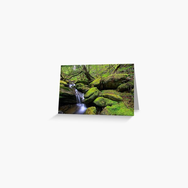 Item preview, "Mossy Creek" designed and sold by Huskyyy Designs.