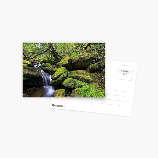 Item preview, "Mossy Creek" designed and sold by Huskyyy Designs.