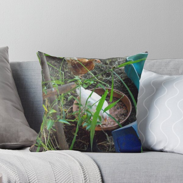 Item preview, My Young Chooks designed and sold by 4spotmore.