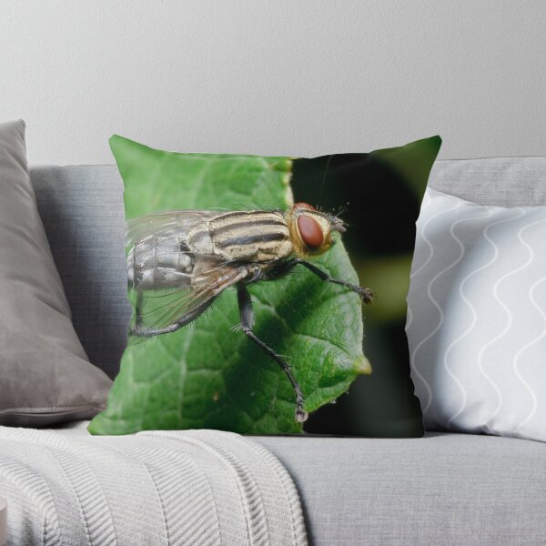 Flesh fly Throw Pillow