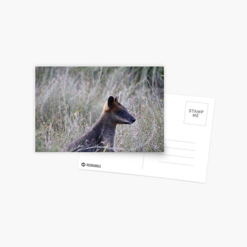 Item preview, Postcard designed and sold by shep34.