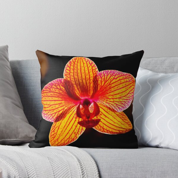 Item preview, Backlit Orchid designed and sold by DavidHoefer.