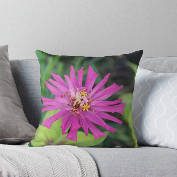 Item preview, Zinnia's End designed and sold by MCinKC.