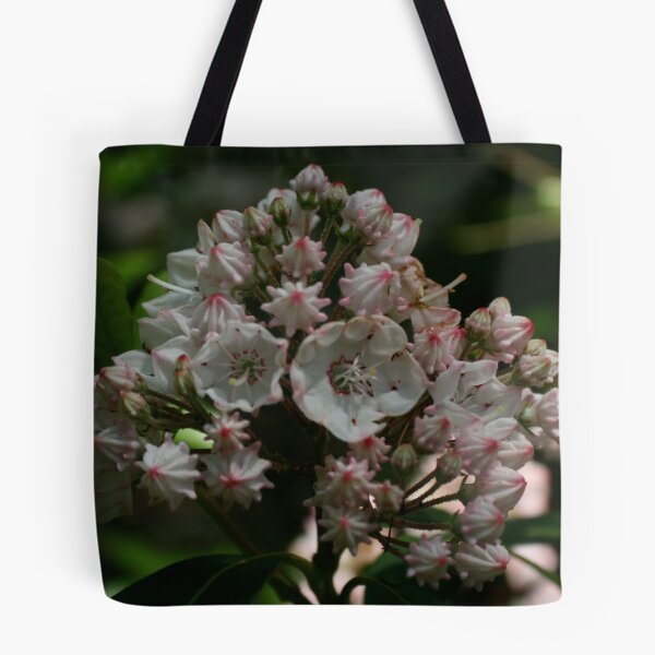 Aperçu de l'œuvre Mountain Laurel II créée et vendue par Fern Design.