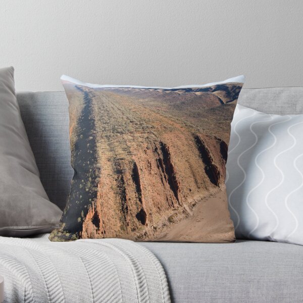 Strata Throw Pillow