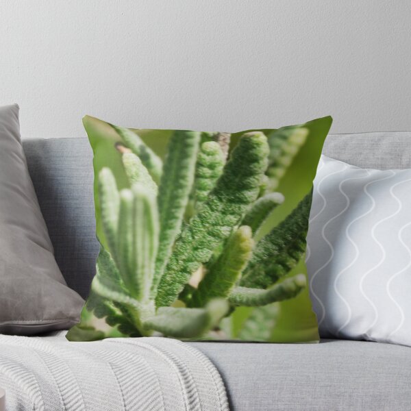 Item preview, Groovy designed and sold by Limitlessonline.