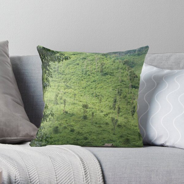 Laotian field hut Throw Pillow