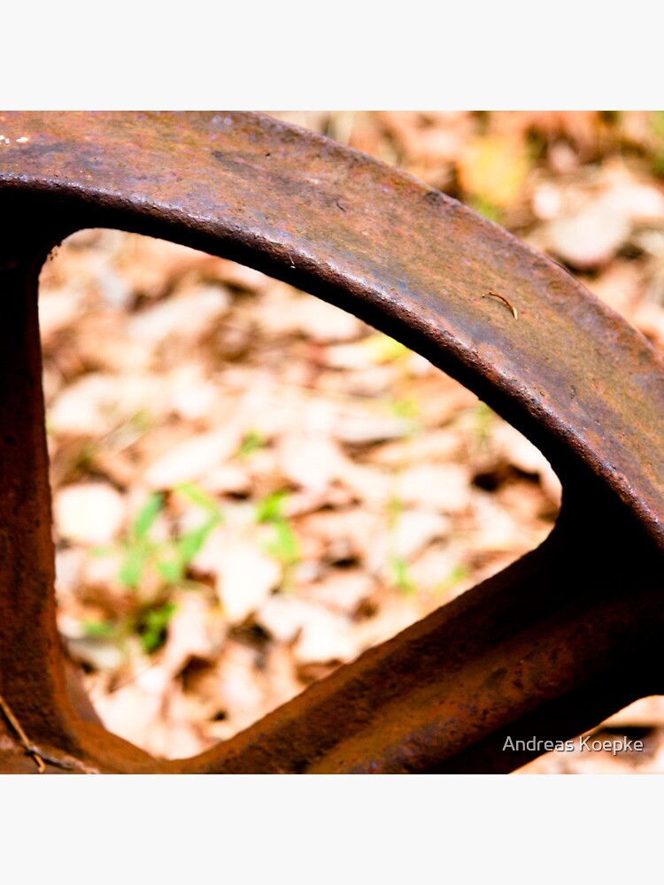 Old wheel by mistered
