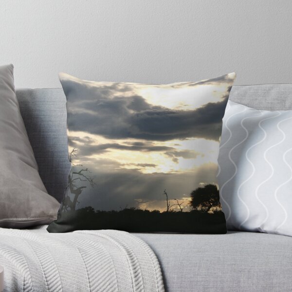 Cloudy Afternoon Throw Pillow