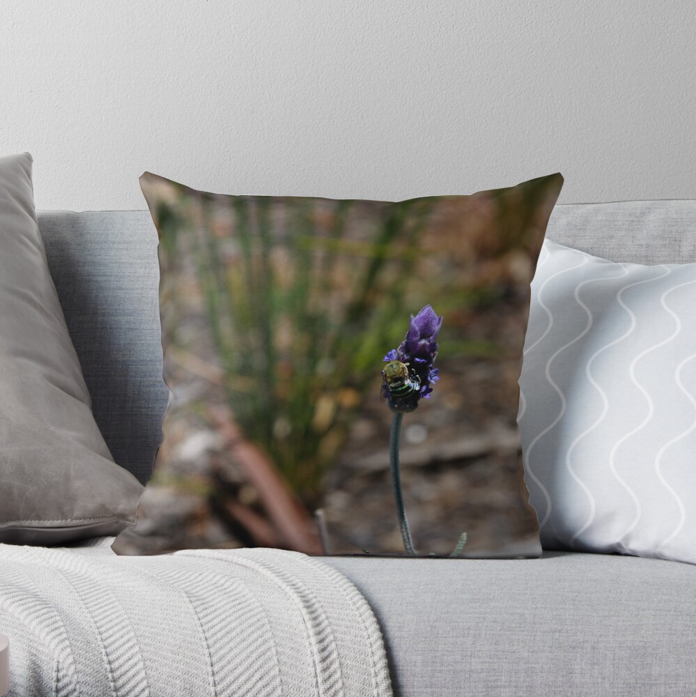 Blue banded bee Throw Pillow