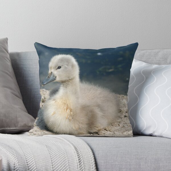 Cygnet Throw Pillow