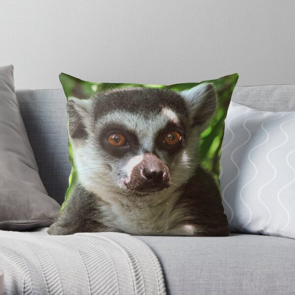 Ring-tailed Lemur Portrait 1 Throw Pillow