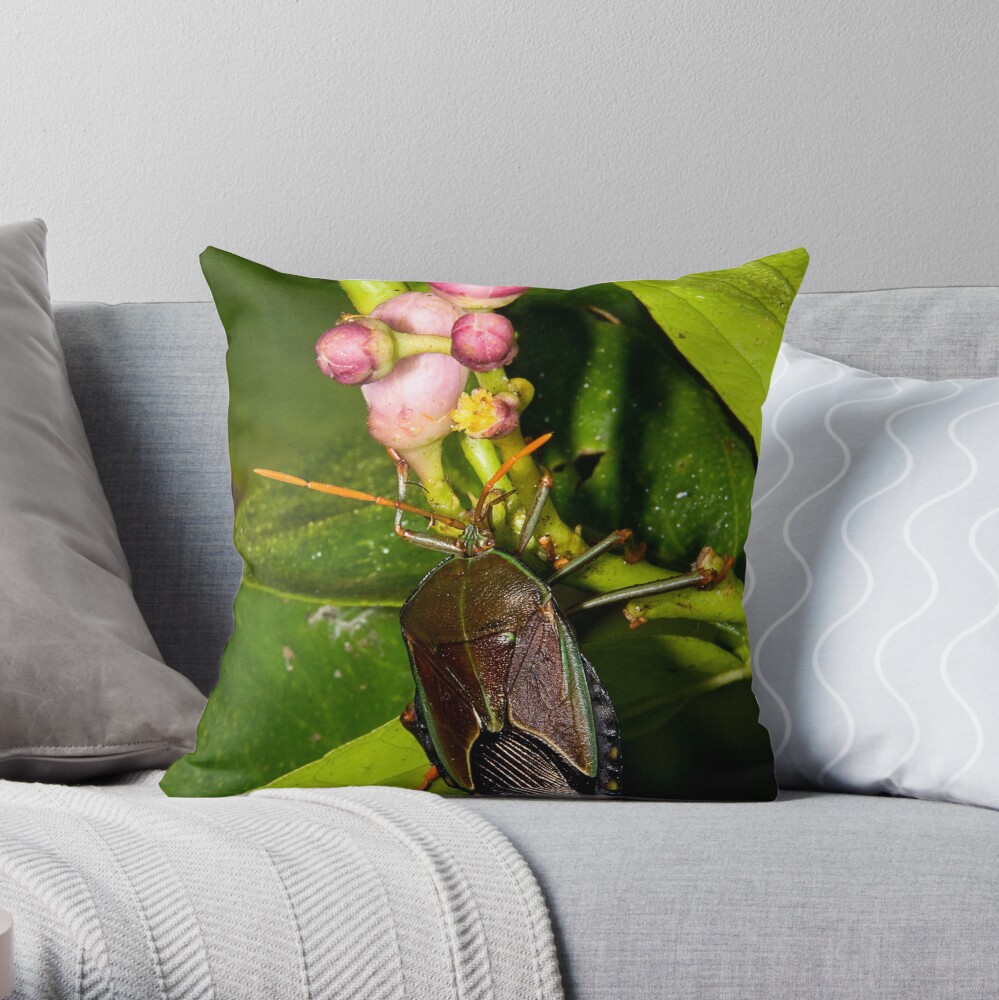 Shield Bug Throw Pillow