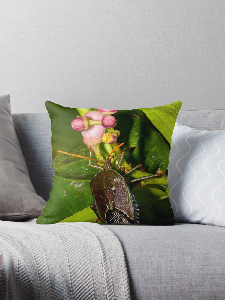 Thumbnail 1 of 3, Throw Pillow, Shield Bug designed and sold by Richard Windeyer.