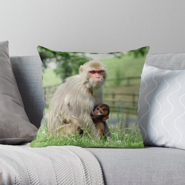 Rhesus Macaque Monkeys Throw Pillow