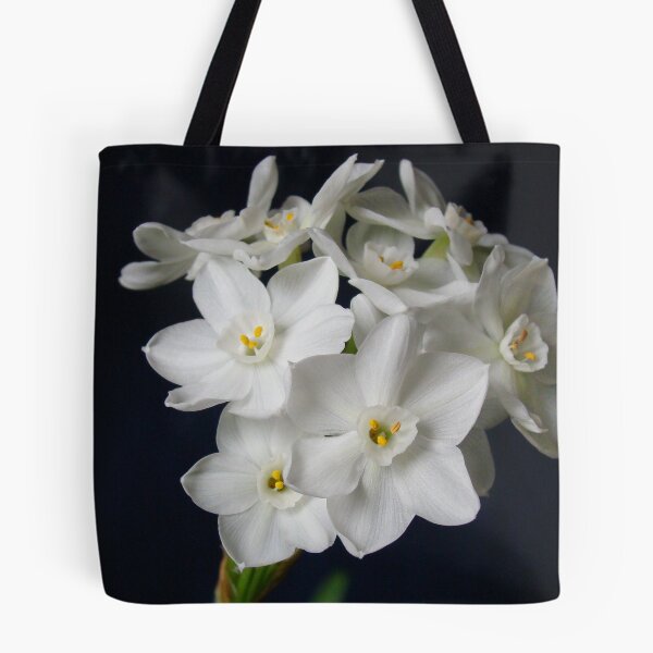 Item preview, Paperwhites  designed and sold by Sandy Keeton.