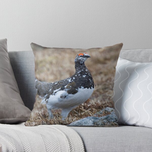 Item preview, Male Ptarmigan designed and sold by wildlifephoto.