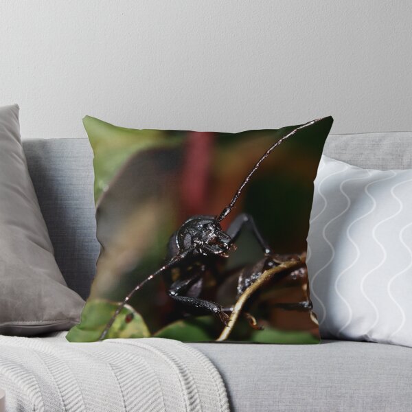 Item preview, ouch!! designed and sold by jason owens.