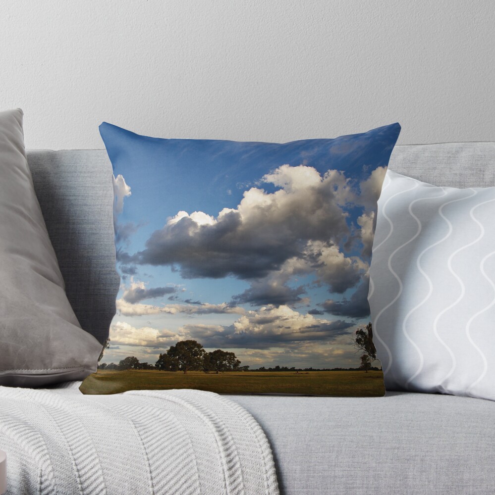 Reach for the sky Throw Pillow
