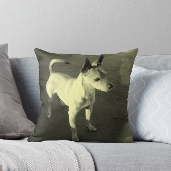 Item preview,  "Perfection." designed and sold by quaggi.