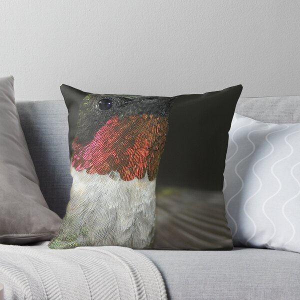 Item preview, Shiny Colors designed and sold by Dennis Jones - CameraView.