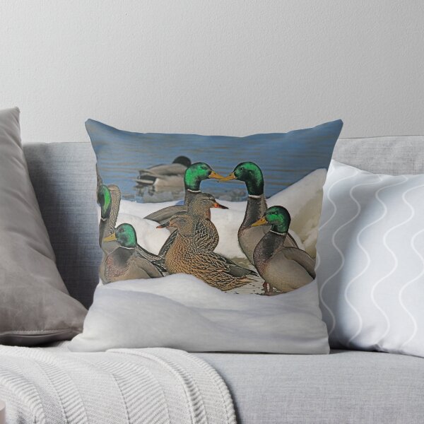 Item preview, snow duck designed and sold by robertpearson.