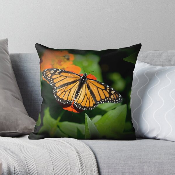 Monarch Butterfly Throw Pillow