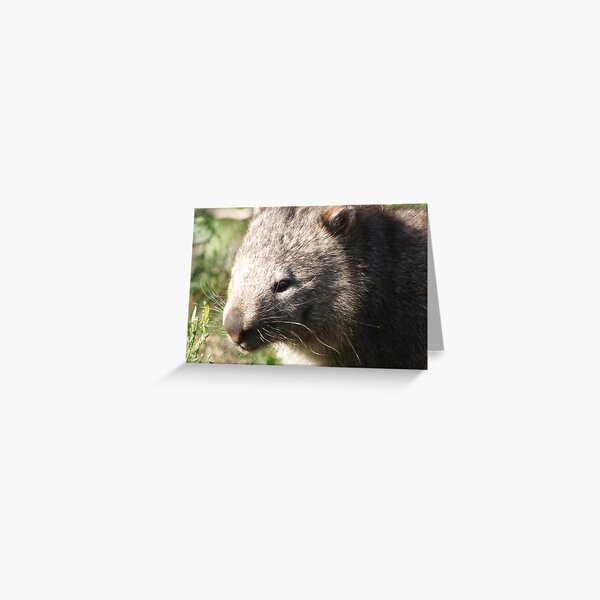 Item preview, Wandering wombat designed and sold by Glen Sheppard.