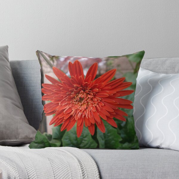 Artikelvorschau, A beautiful red flower growing at home entworfen und verkauft von ashishagarwal74.