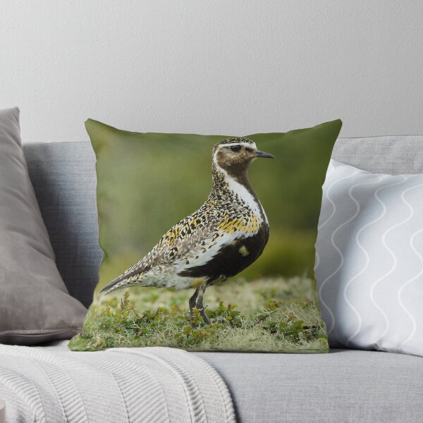 Item preview, Golden Plover designed and sold by wildlifephoto.