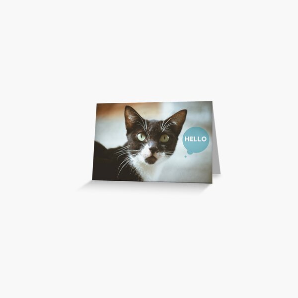 Hello Greeting Card