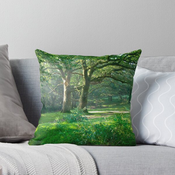 Item preview, Sunlit Glade: Dartmoor (Near Goodameavy) Devon UK designed and sold by DonDavisUK.