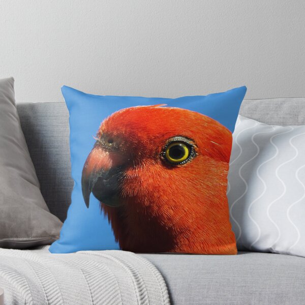 Item preview,  King Parrot - regular visitor to my garden- Drouin designed and sold by Bev Pascoe.