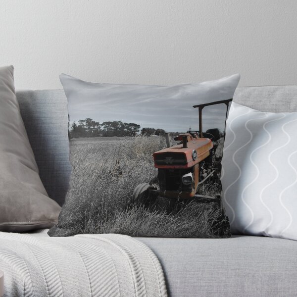 In Retirement Throw Pillow