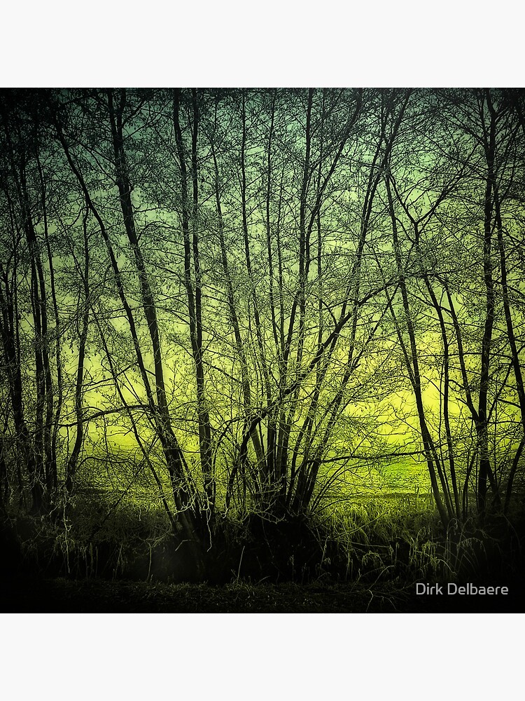 green by Delbaere