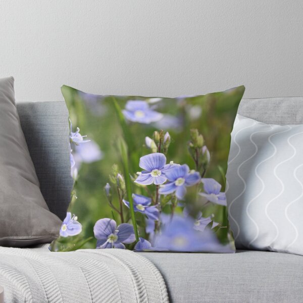 Item preview, Gemander Speedwell designed and sold by John Keates.