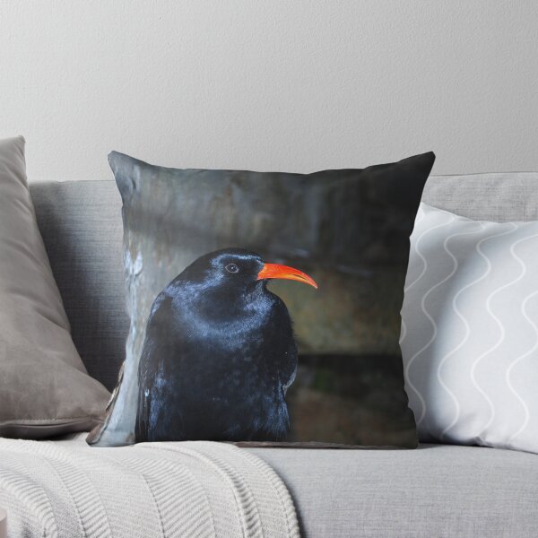 Item preview, Cornish Chough designed and sold by Luci Mahon.