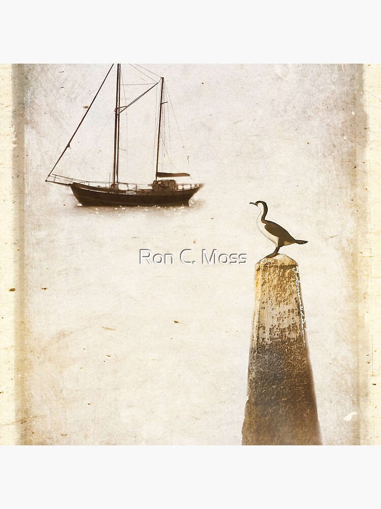 g o i n g by ronmoss