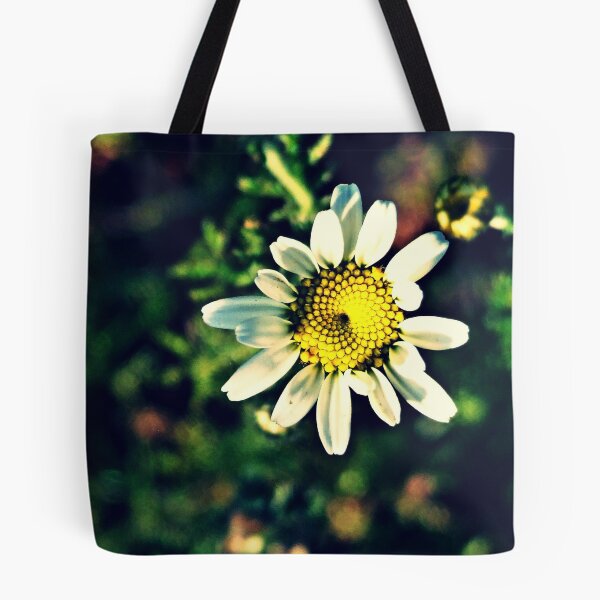 Item preview.