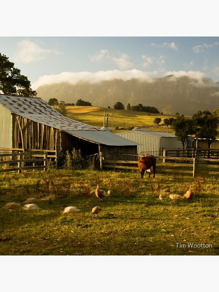 The Farmyard by wootton60